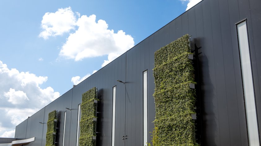 Green walls as urban architecture solution