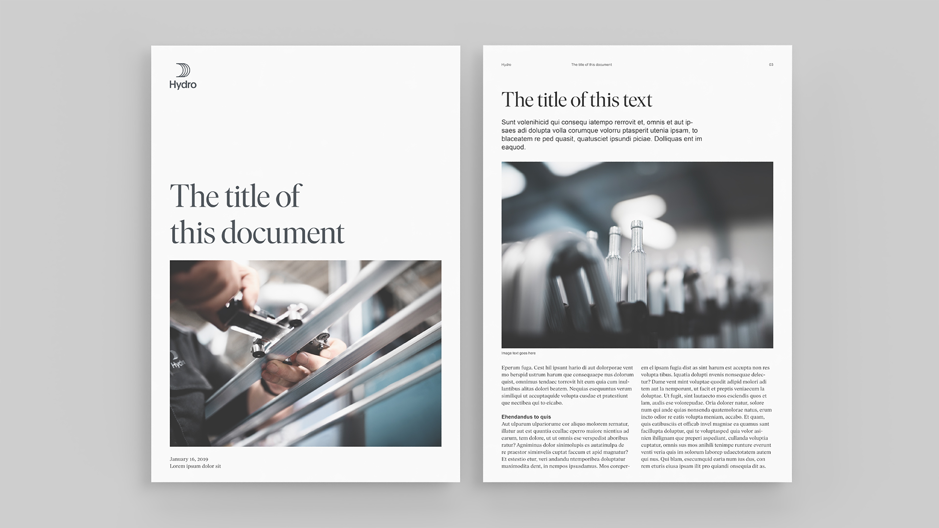 graphical user interface, website