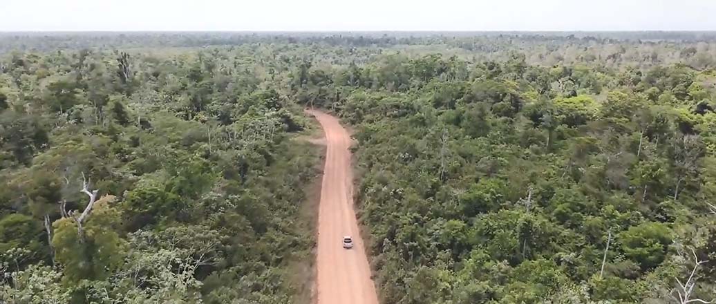 a road surrounded by trees
