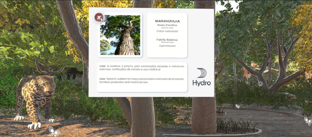 a cheetah standing on a sign